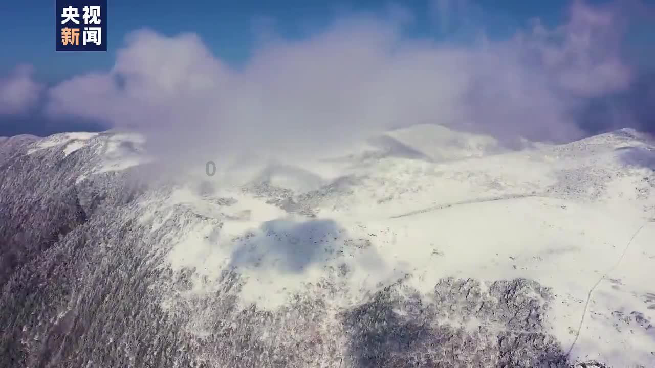 白酒：传统工艺与现代技术的完善结合