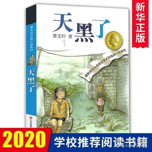 寂静岭：暴雨