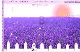 贾平凹微小说《听来的故事》,一般人不了解的人性