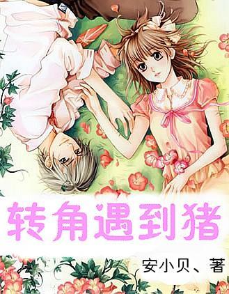 凤观齐鲁2023|平原县崛起“新高地”，2023“幸福新平原”昂首阔步