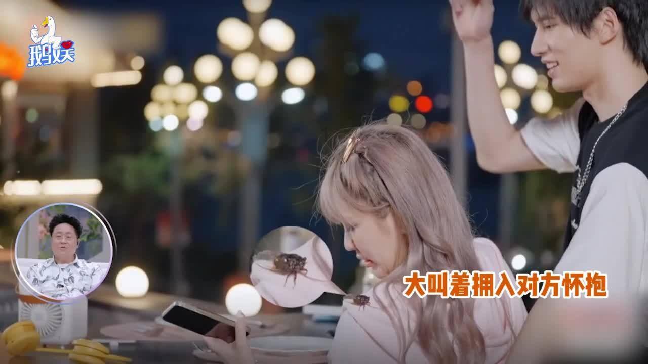 动物帮帮忙保卫家园