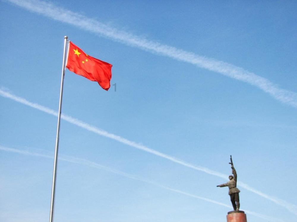 救援受困的老虎