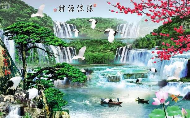 敏捷的白球