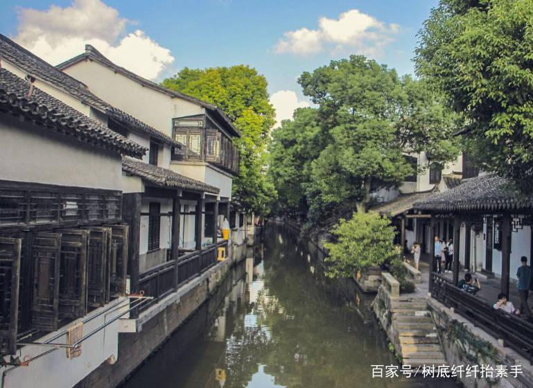 植物大战僵尸18