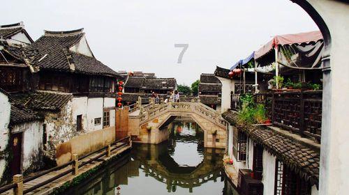 拯救蝙蝠家族